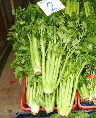 Go Green Celery Seeds Exotic, 50 Seeds (Pack of 2)