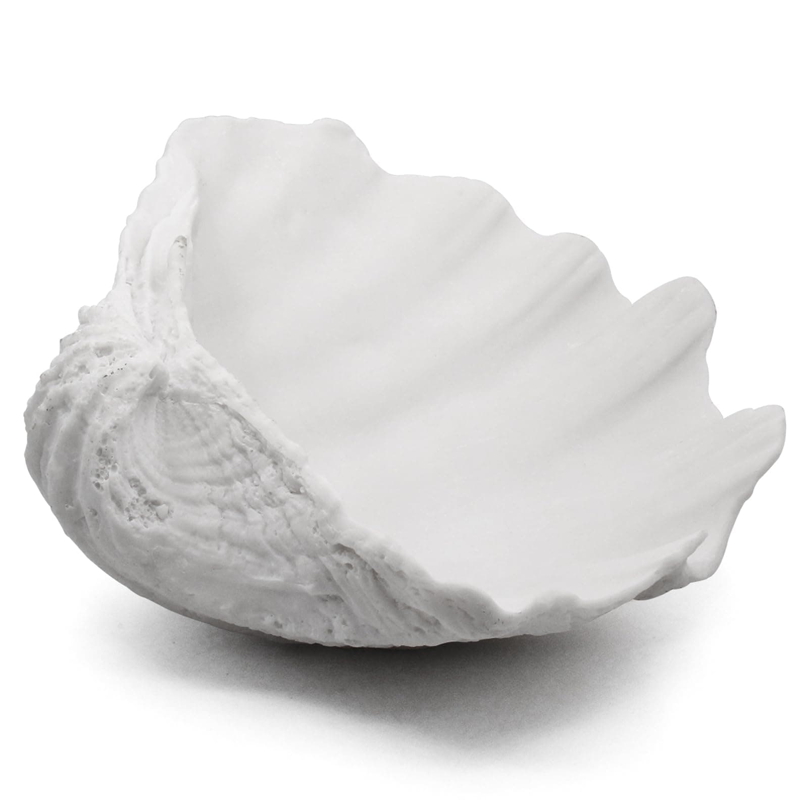 Accessoryway Extra Large Clam Shells Decorative Bowl-White Sea Shells Decorative Storage Bowls for Coastal Beach theme house table centerpiece decorations & Nautical decor for coffee table-12.4"-1PC