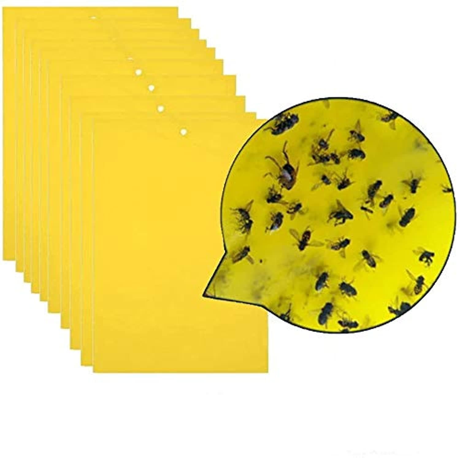 THERESA 20Pcs Strong Flies Traps Bugs Sticky Board Catching Aphid Insects Pest Killer