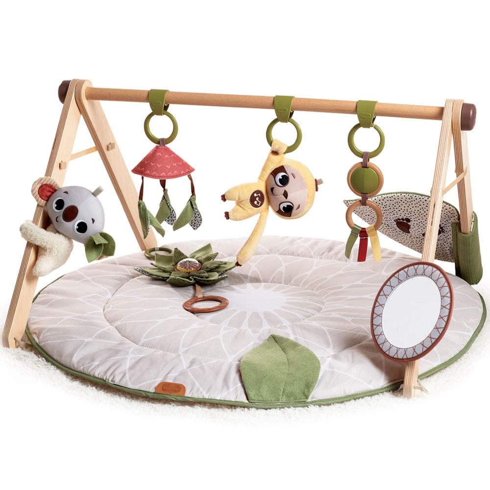 Luxe Developmental Gymini, Stylish Wooden Baby Play Gym with Music, 0+ Months, Baby Play Mat, 20 Activities, Musical Take-Along Toy, Premium Fabrics, 12 Milestone Cards, Boho Chic