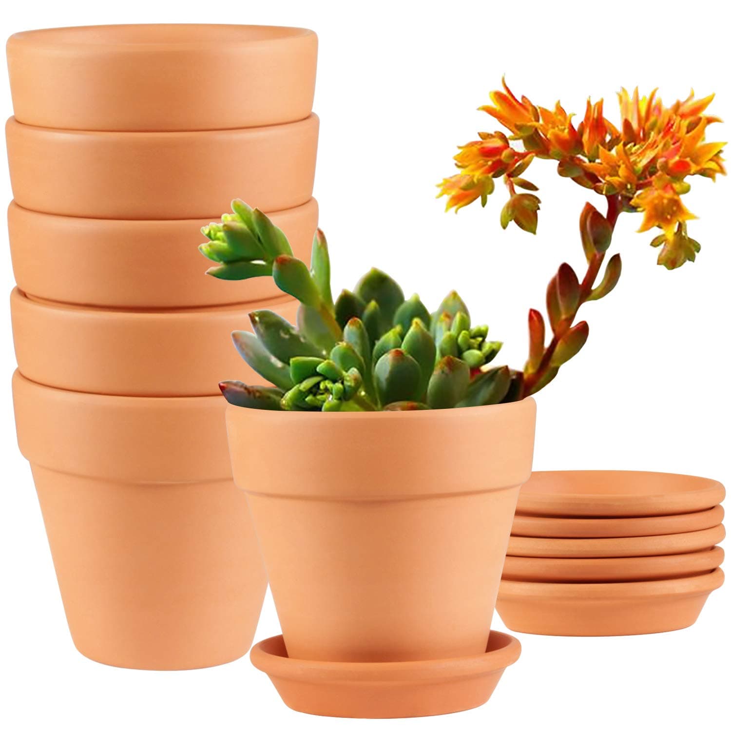 EHWINE 6 Pack Terracotta Pots, 4 inch Clay Pots Terra Cotta Pots with Saucer Cute Clay Pots for Plants with Drainage for Indoor Outdoor Cactus Succulents Flowers (Plants Not Included)
