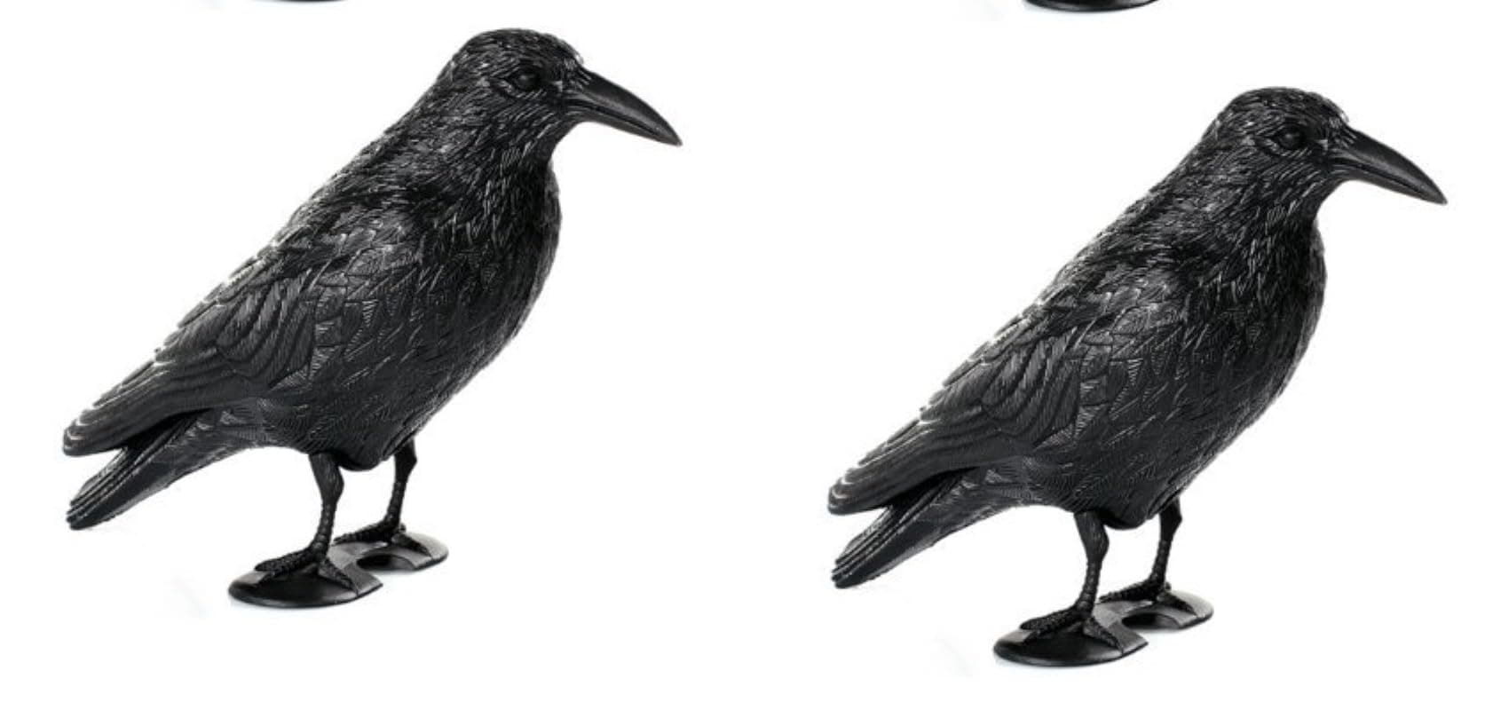 2x plastic black raven with rod and feet as pigeon scarer.