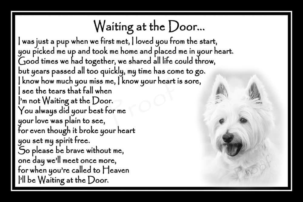Westie Pet Dog Bereavement Sympathy Memorial Print (unframed) - Waiting at the Door
