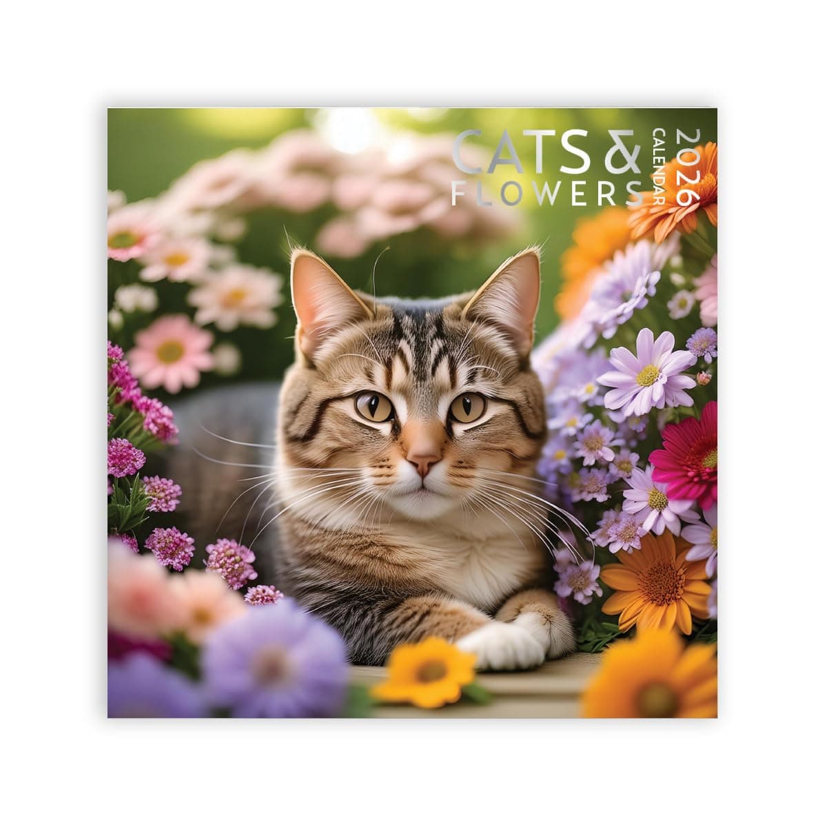 Cats and Flowers Large Wall Calendar | 12 x 12 Inches | 2026 Wall Calendar | Christmas Gift (Cats and Flowers)