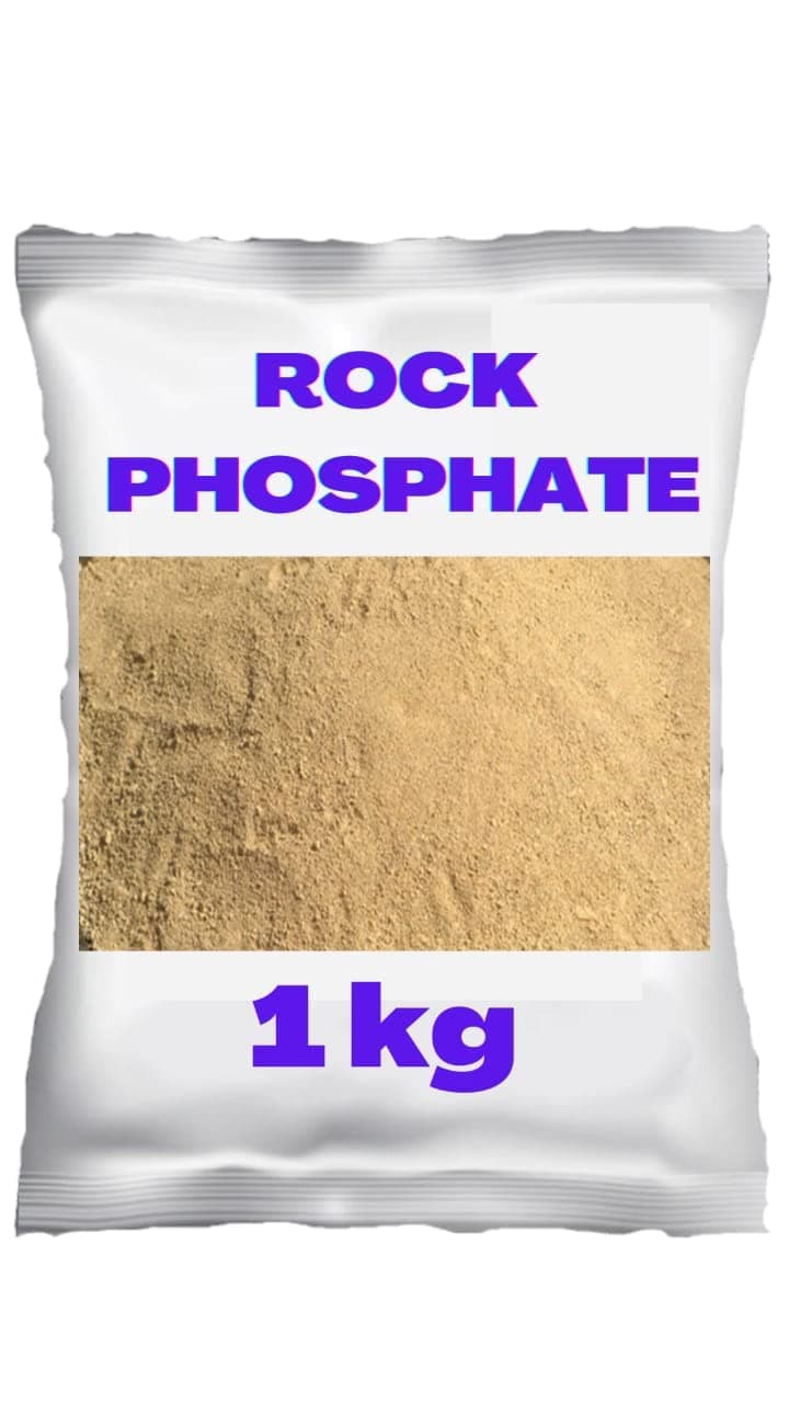 Plant Rock Phosphate Essential Fertilizer All Purpose Powder for Fruiting and Flowering Plants (1) 1kg (1 kg)