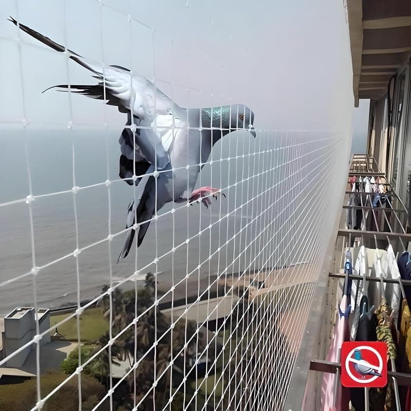 Essoti UV Stabilized Bird Net/Anti Bird Net/Pigeon Net /(10 X 20ft)-25mm Hole 15 PLY with Attached Corner Ropes & Installation Kit/Size- (10 X 20 FT), White