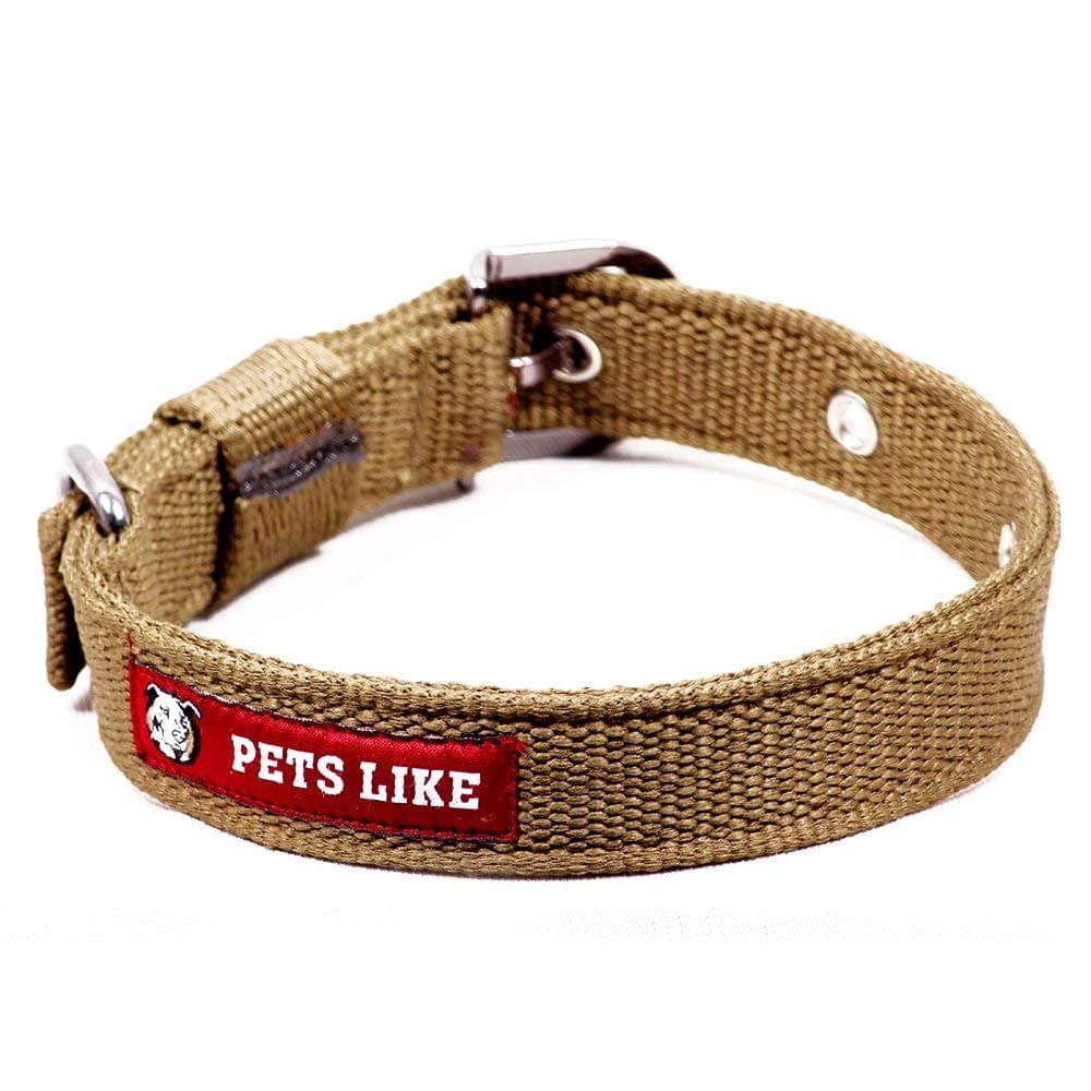 SNUNGPHIR Plastic Dog Petslike Collar, Army Green (25 Mm)Large
