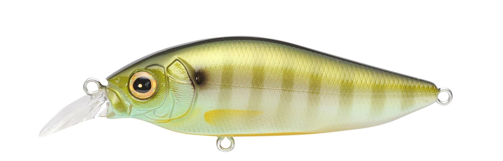 Megabass Flapslap Crankbait & Jerkbait