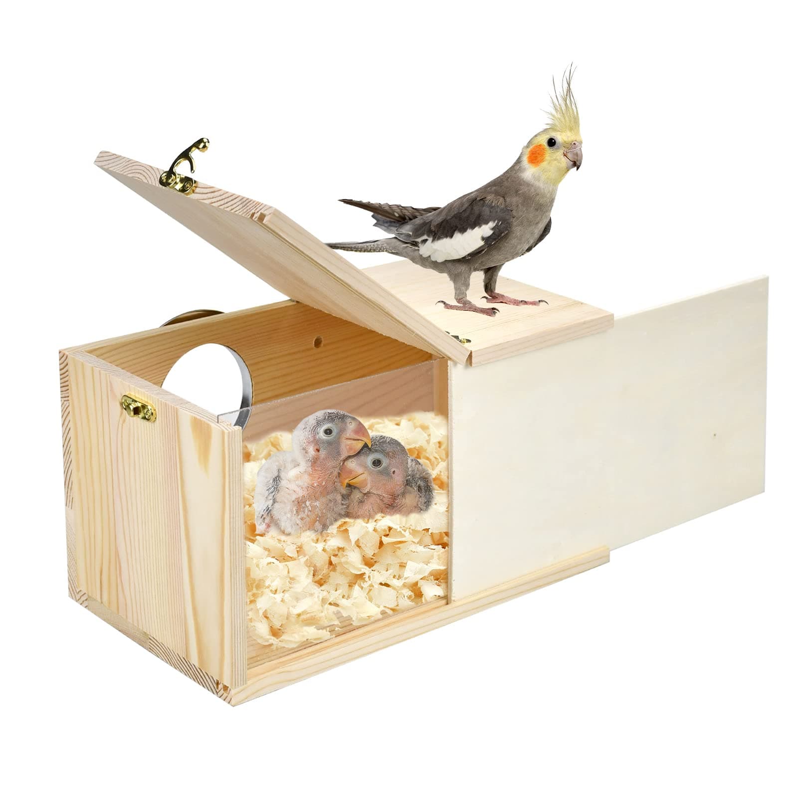 Parakeet Nesting Box Cockatiel Nesting Natural Pine Bird Nest Bird Breeding Box House Acrylic Transparent Bird Box with Detachable Wooden Board for Lovebirds Cockatiel Budgie Conure Parrot L