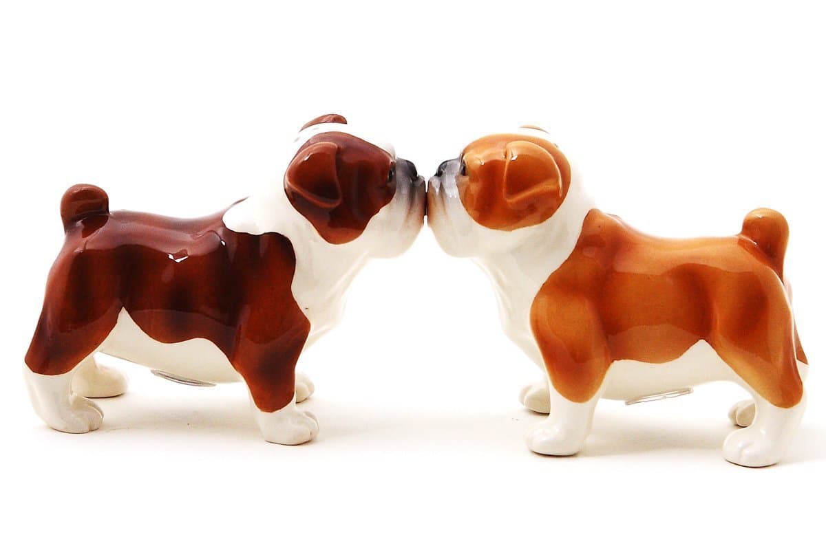 Pacific Giftware Bulldogs Attractives Salt Pepper Shaker Made of Ceramic
