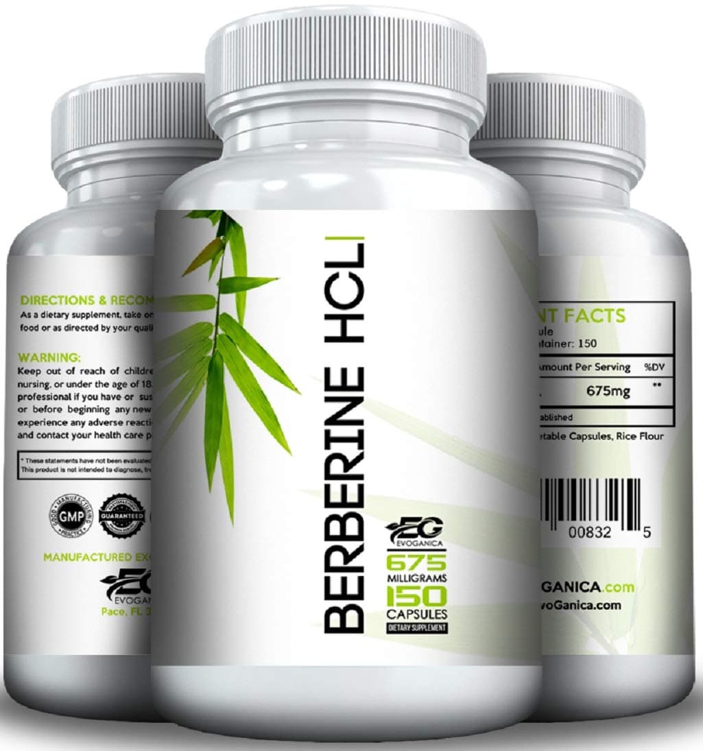 Berberine by EVOGANICA (675 mg per Serving x 150 Serving) Supports Healthy Blood Sugar, AMPK Activator,Supports Immune Function