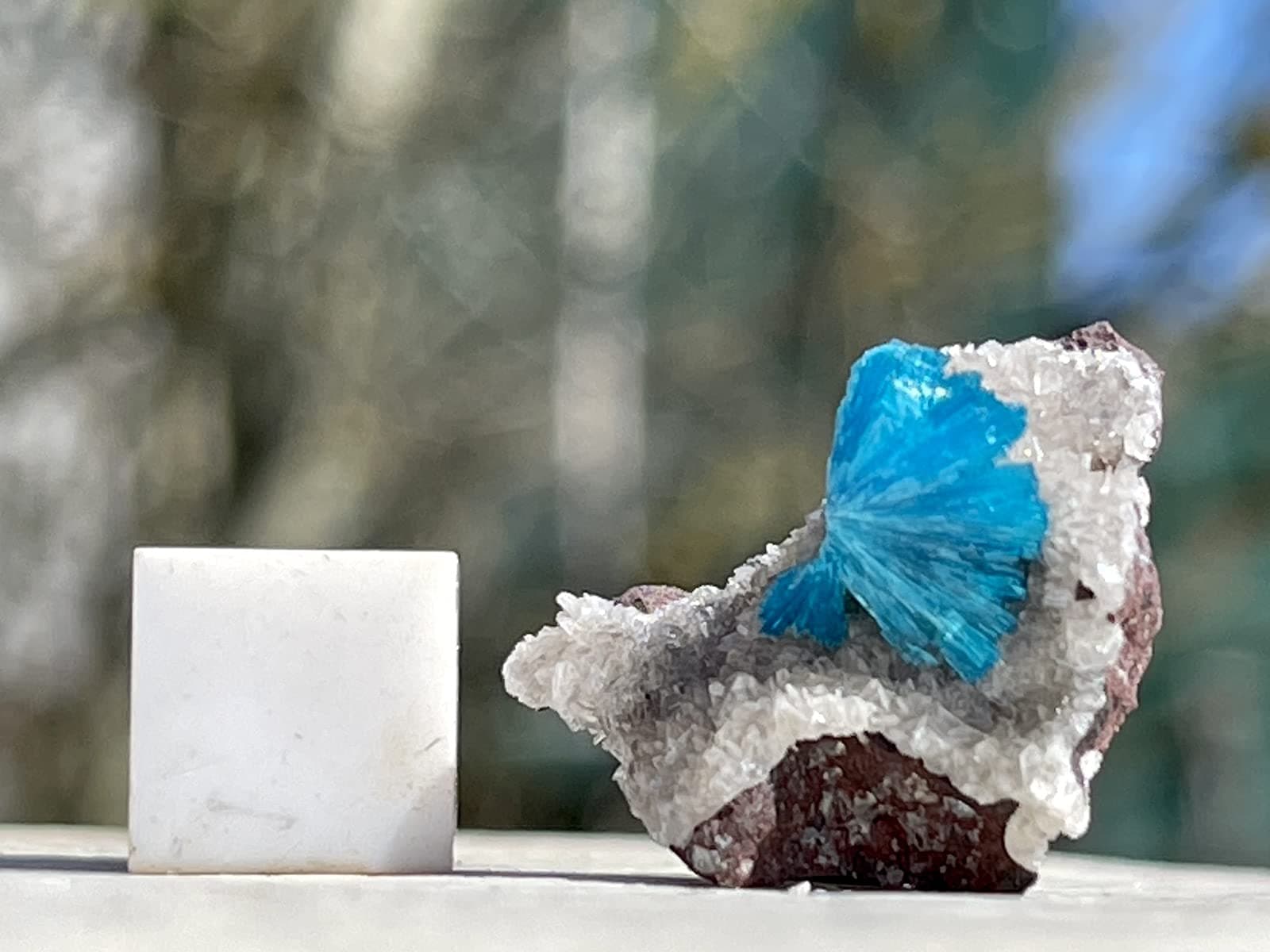 Cavansite Spiritual Healing Crystal Mineral Stone SilverGeo® Certified ✔️100% Genuine