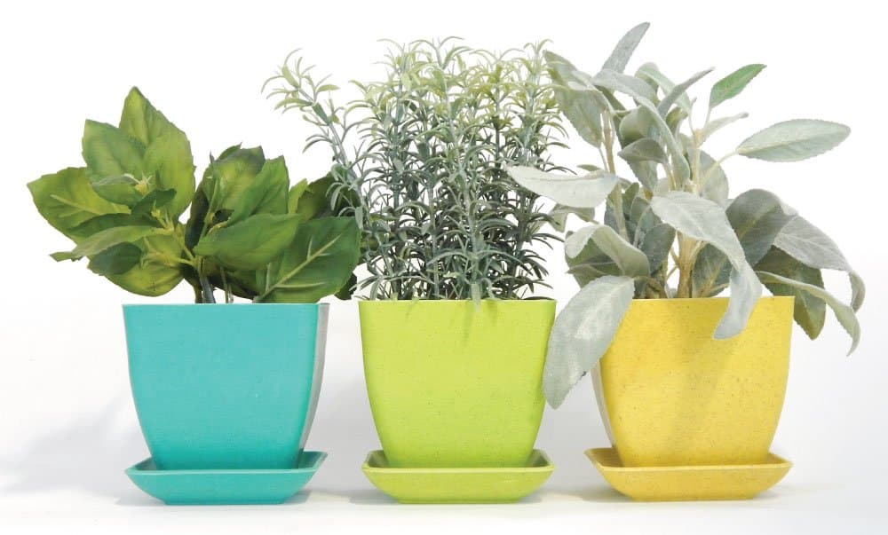 Herb Garden Kit, Pastel