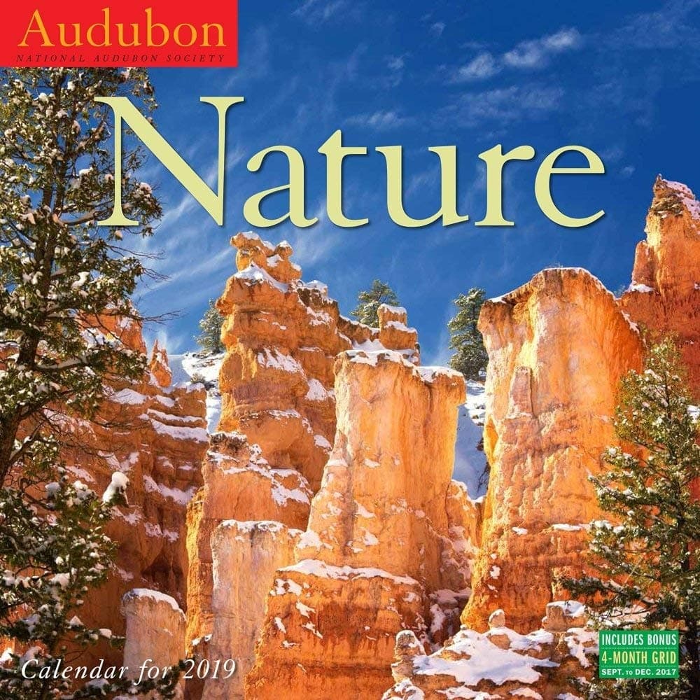 Audubon Nature Wall Calendar 2019