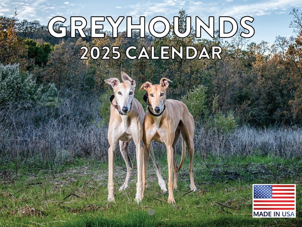Greyhound Calendar 2024