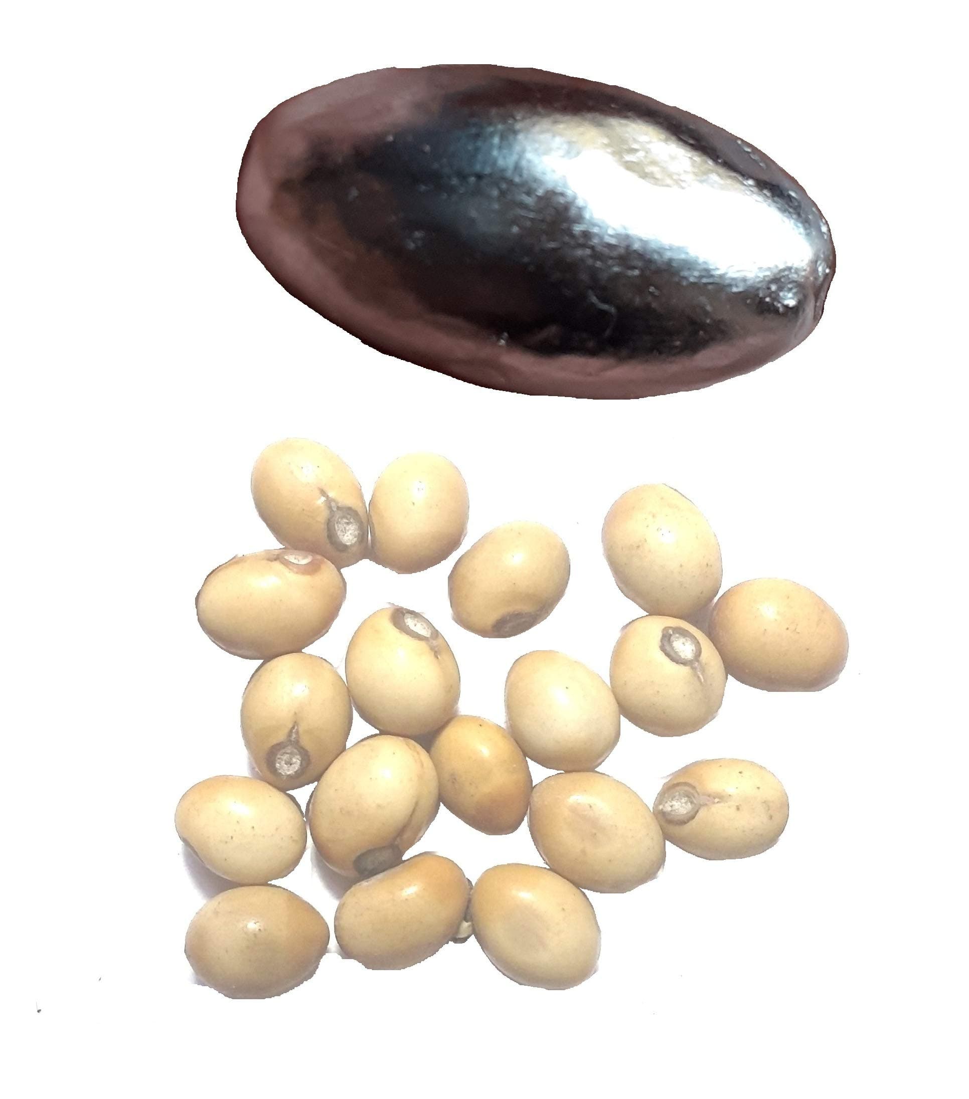 Choicepick Chezel Parad Gutika Mercury Ball Rasamani with Maximum Parad 20 GMS with Hole and Safed Gunja (Standard Size, Silver)