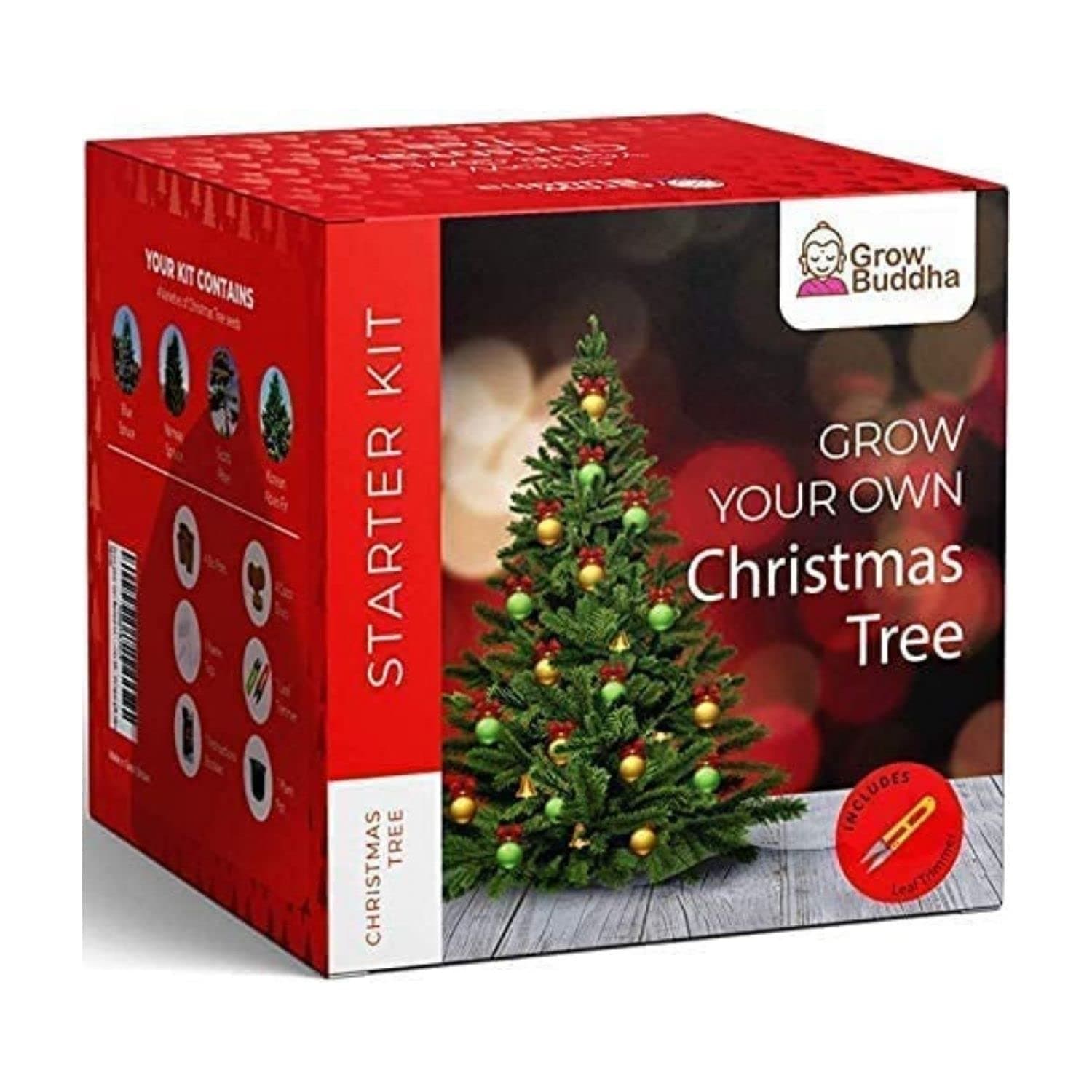 – Grow Your Own Xmas Tree – Grow 4 Different Types of Christmas Tree at Home Beginner Friendly Tree Growing Starter Kit with Complete Instructions
