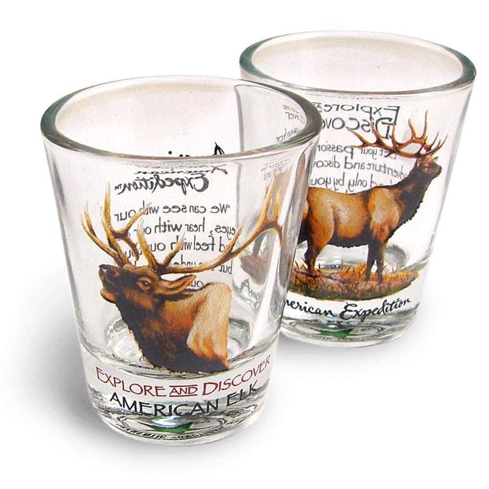 American Expedition Set of 2 Shot Glasses