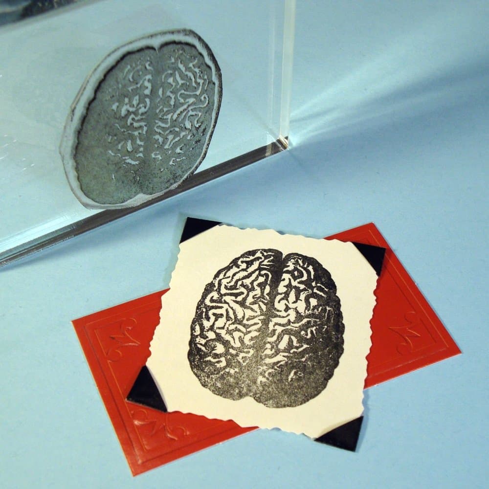 Human Brain Stamp, clear polymer cling 2"x1.5", includes storage case and block mount