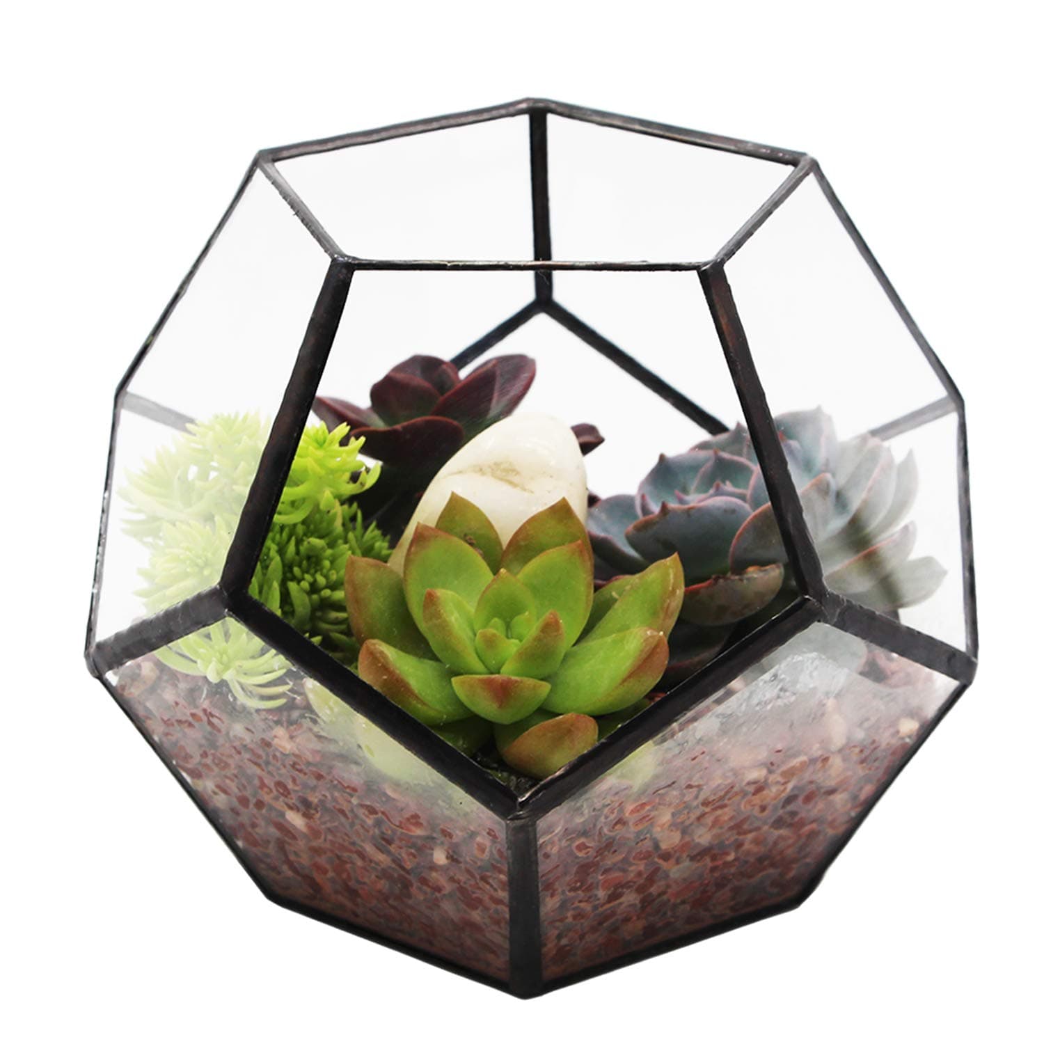Geometric Terrarium Clear Glass Tabletop Planter Air Plant Holder Display for Succulent Fern Moss Air Plants Holder Miniature Outdoor Fairy Garden DIY Gift