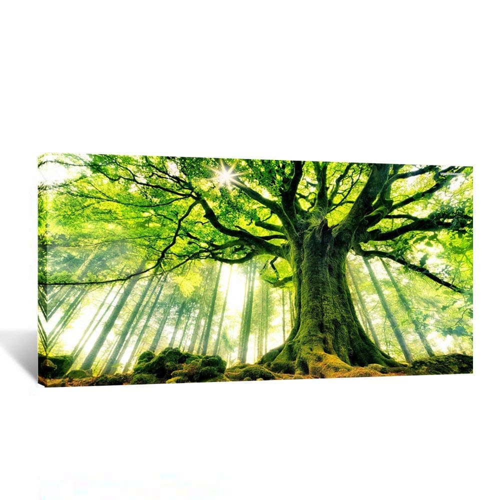KREATIVE ARTS Extra Large Canvas Art Print Spring Forest Nature Green Big Tree Wall Art Photo Printed on Canvas Framed Artwork for Office Wall Decoration Ready to Hang 24x48inch