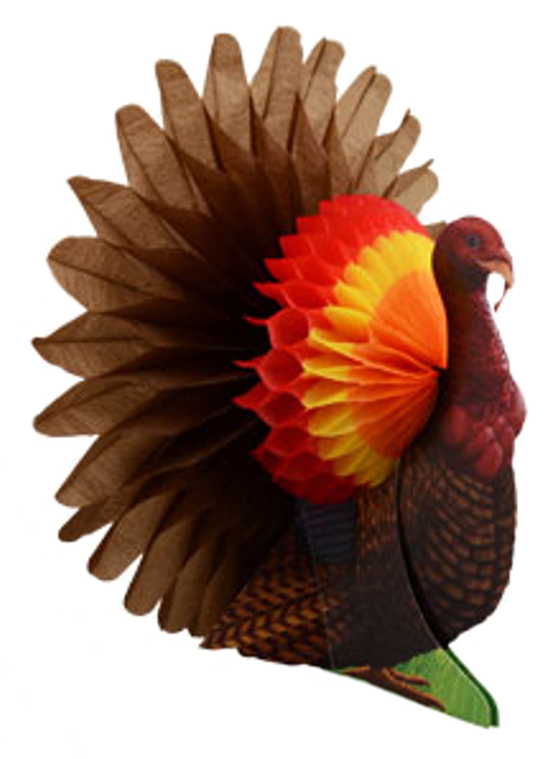 Thanksgiving Tissue Paper Honeycomb Centerpiece (Turkey - 13 in. High)