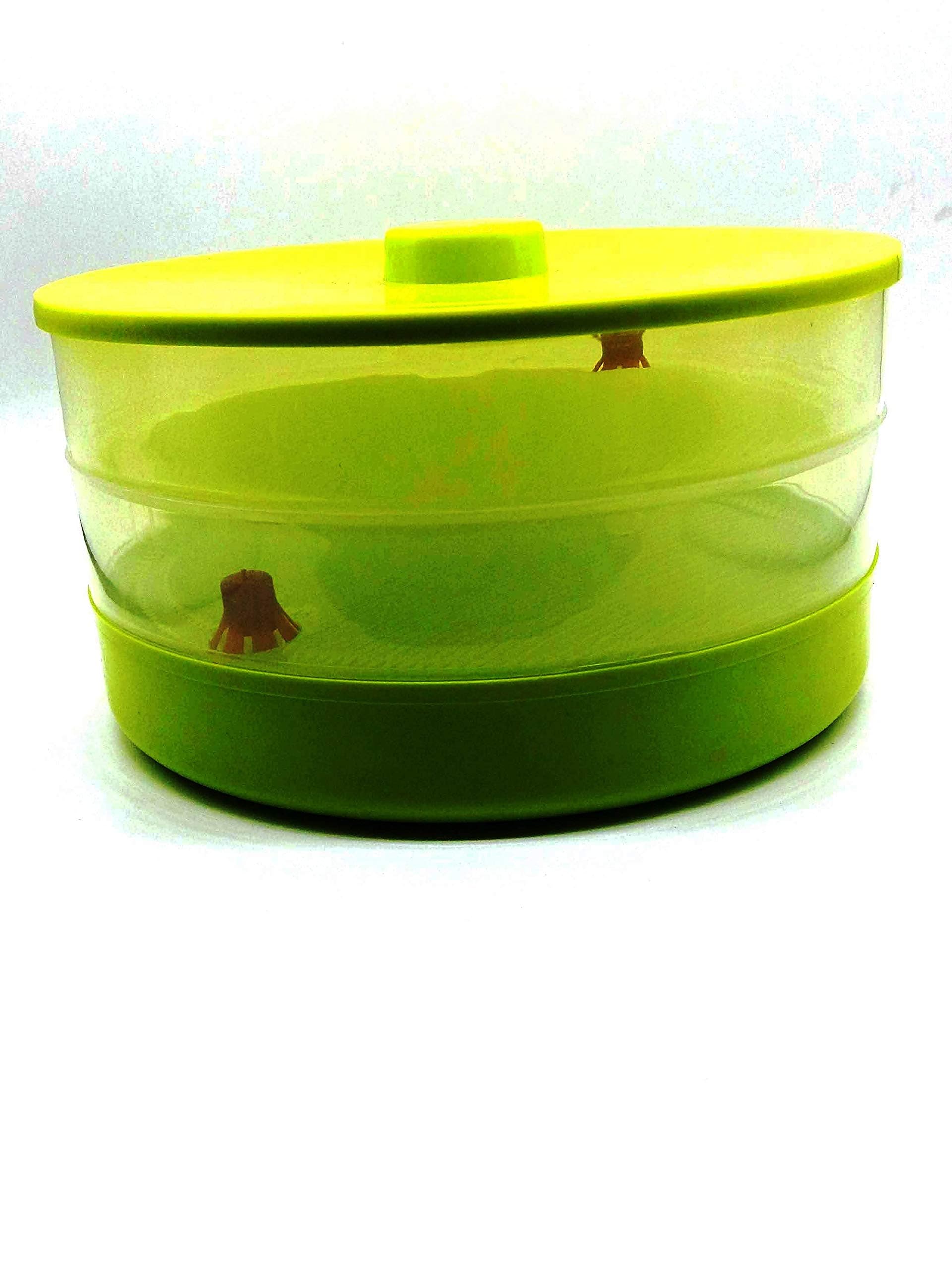 Perfect Buy Plastic Sprout Maker Container - Green