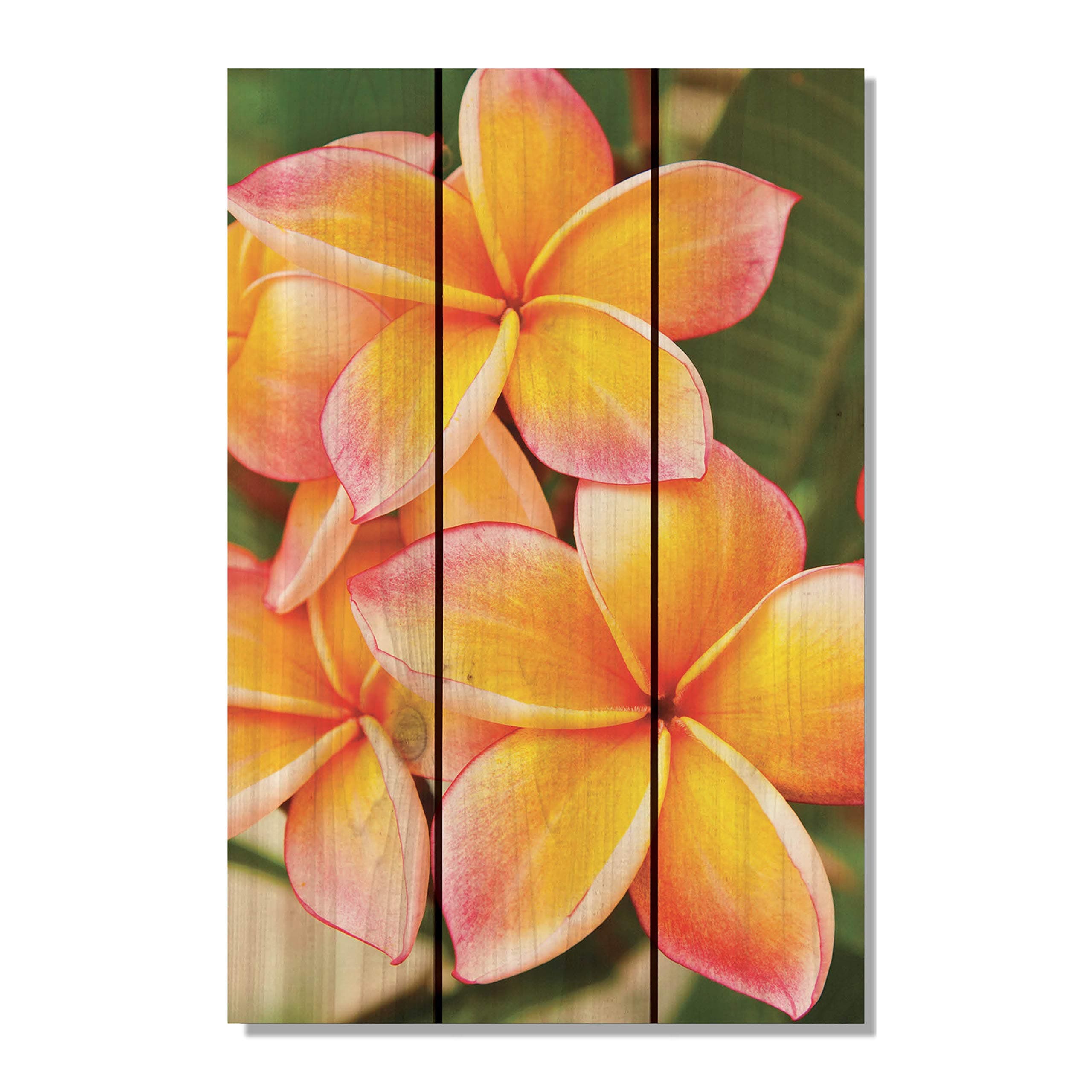 Tropical Flower Yard Art, 16 by 24-Inch