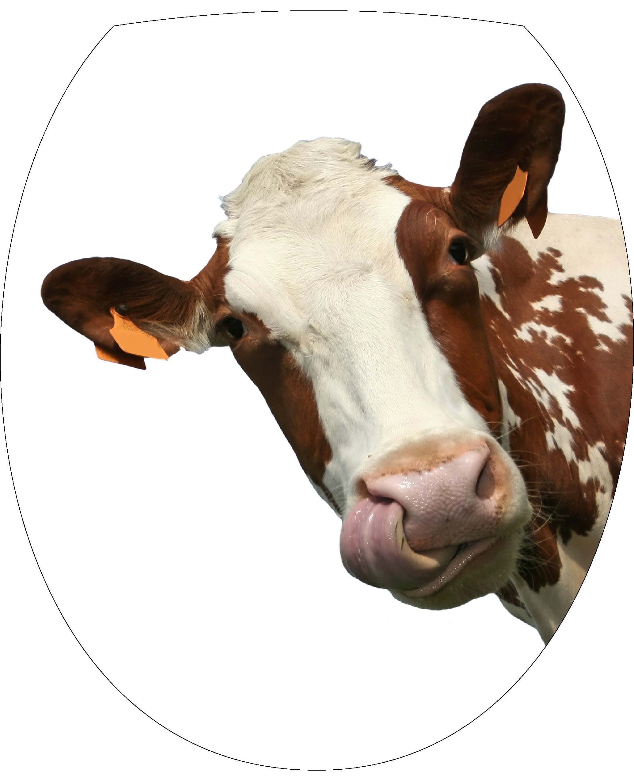 Wall Tattoo Sticker Cow Toilet Seat 35x42 cm Ref 065