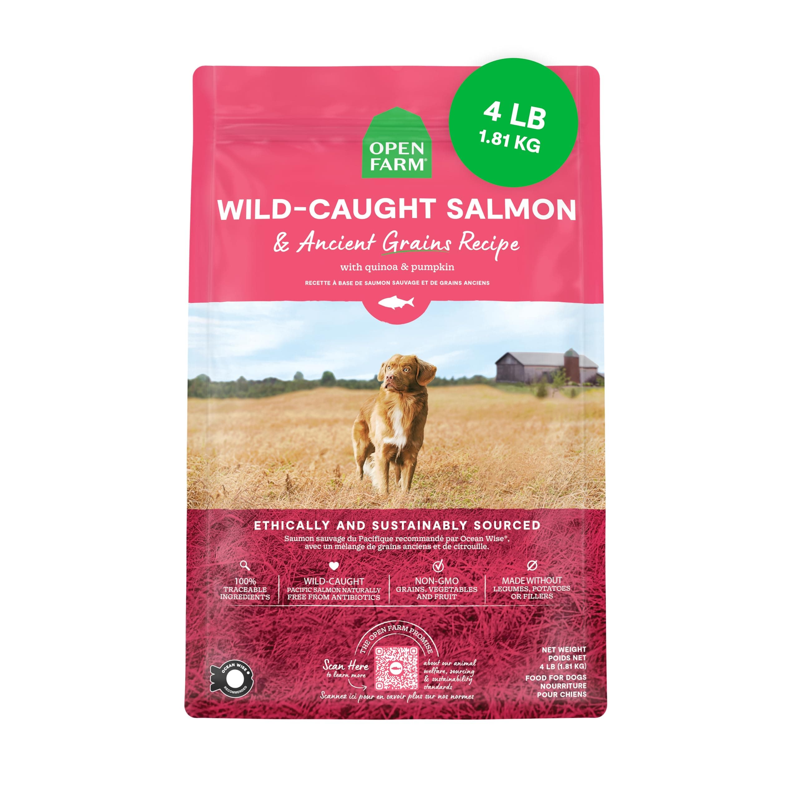 Ancient Grains Dry Dog Food, Protein-Rich & Nutrient Dense, 90% Animal Protein Mixed with Non-GMO Fruits, Veggies and Superfoods, Wild Caught Salmon Recipe, 4lb Bag