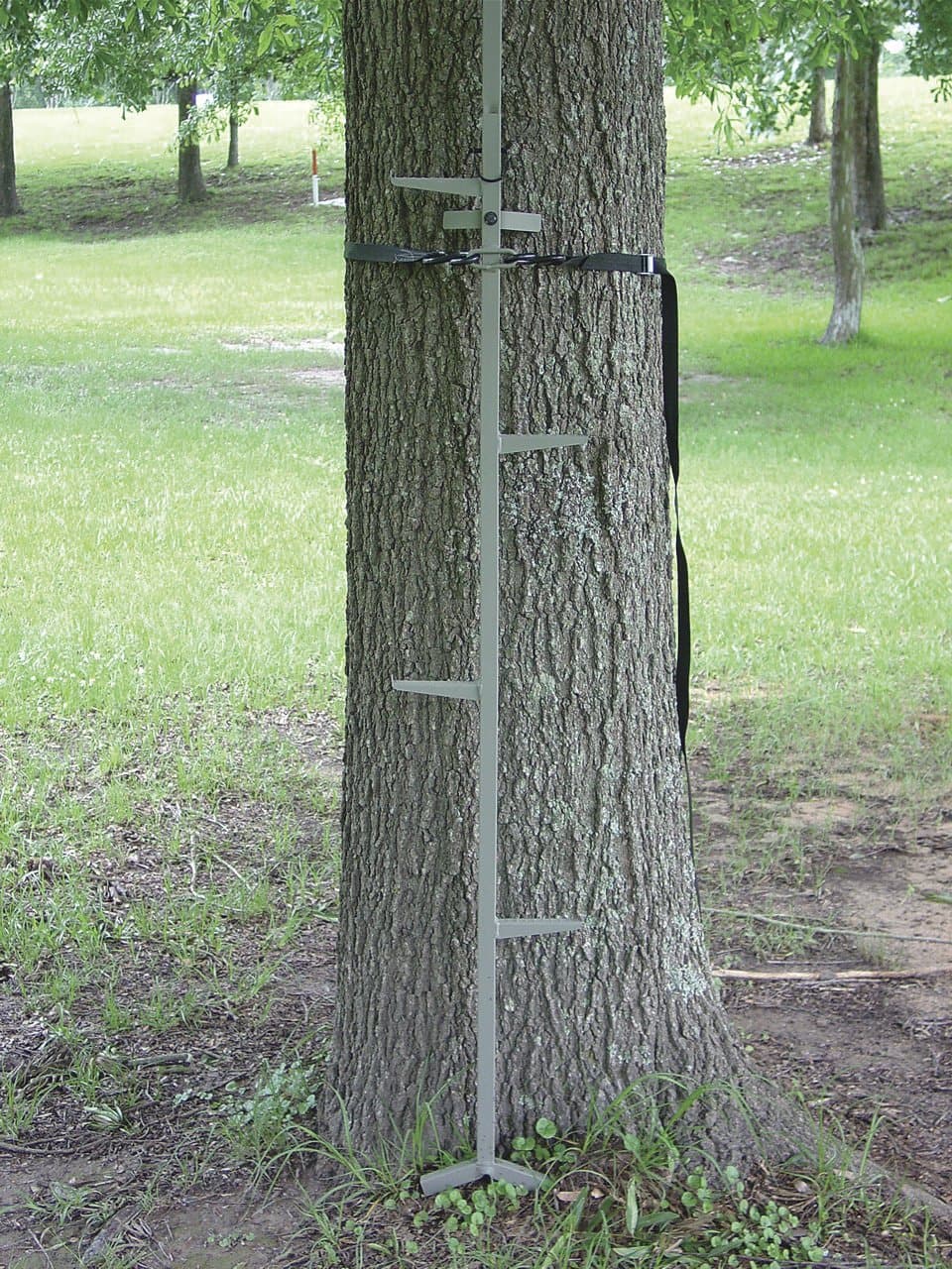 Hunting Solutions Millennium 20 - ft. Stick Climber