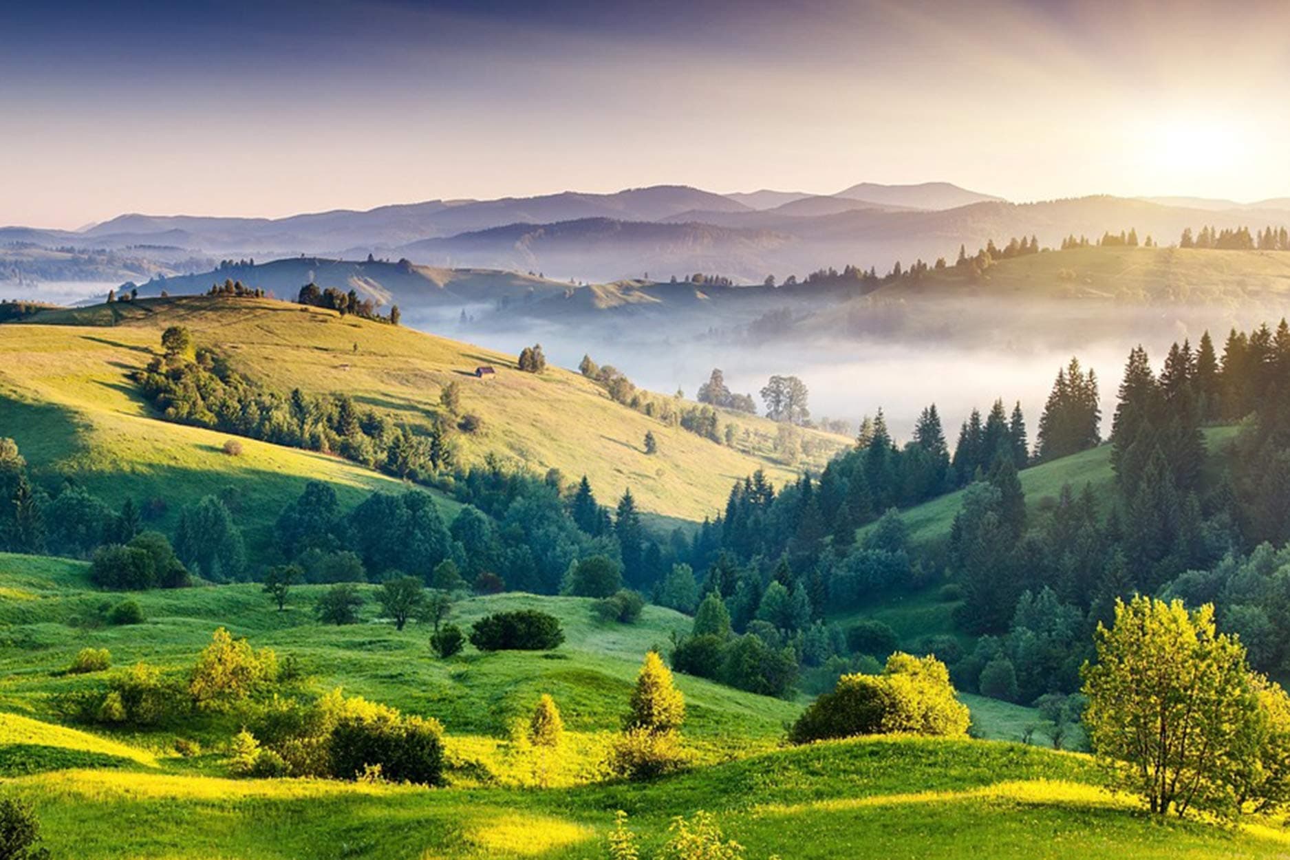 Mosaiko Premium Quality Diamond Painring Kit 16x24 inch Extra Large - 5D Full Drill Square DIY Nature Landscape Series - Green Hills