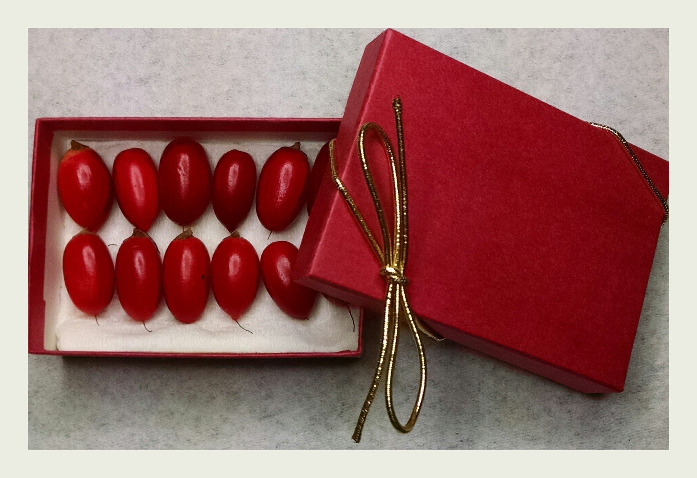 Fresh Miracle Fruit Berries - Turns Sour to Sweet - 15 Fruit