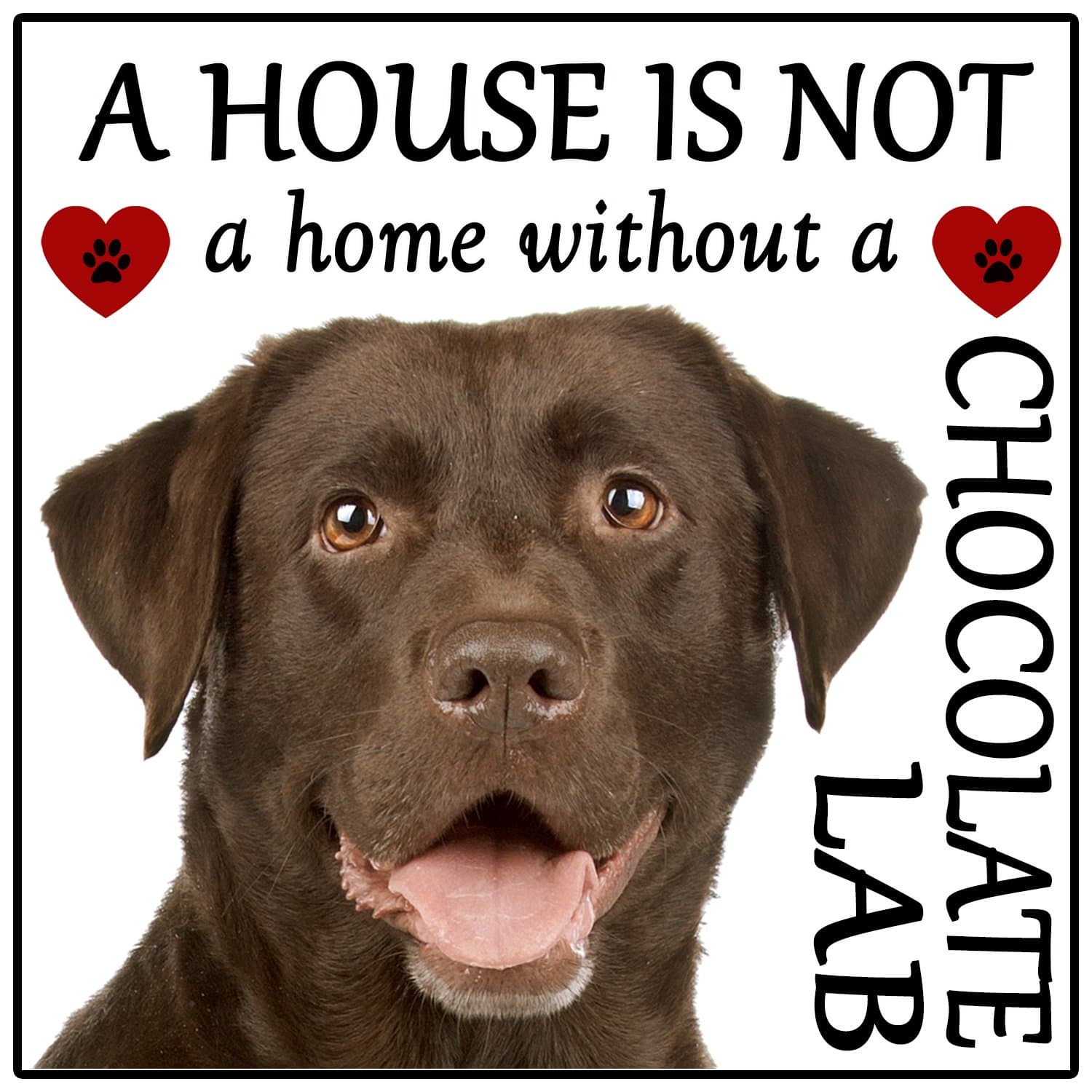 Labrador Chocolate Lab Dog Gift "House is not a Home" Fridge Magnet, size 5" x 5".