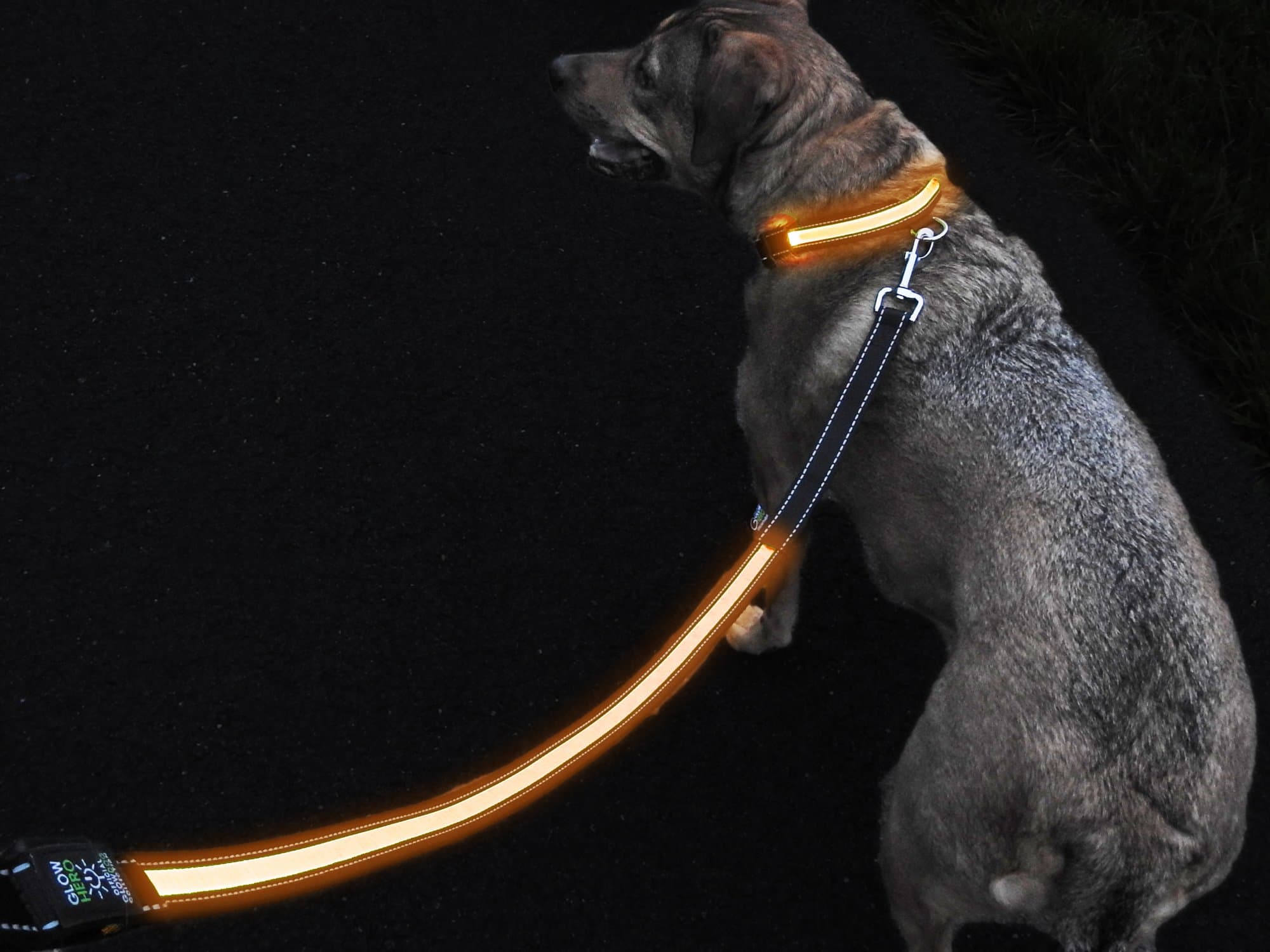 GlowHERO LED Light Up Dog Leash - The Original GlowLeash - High Visibility Durable and Reflective LED Pet Leash w/Padded Shock Absorbing Handle