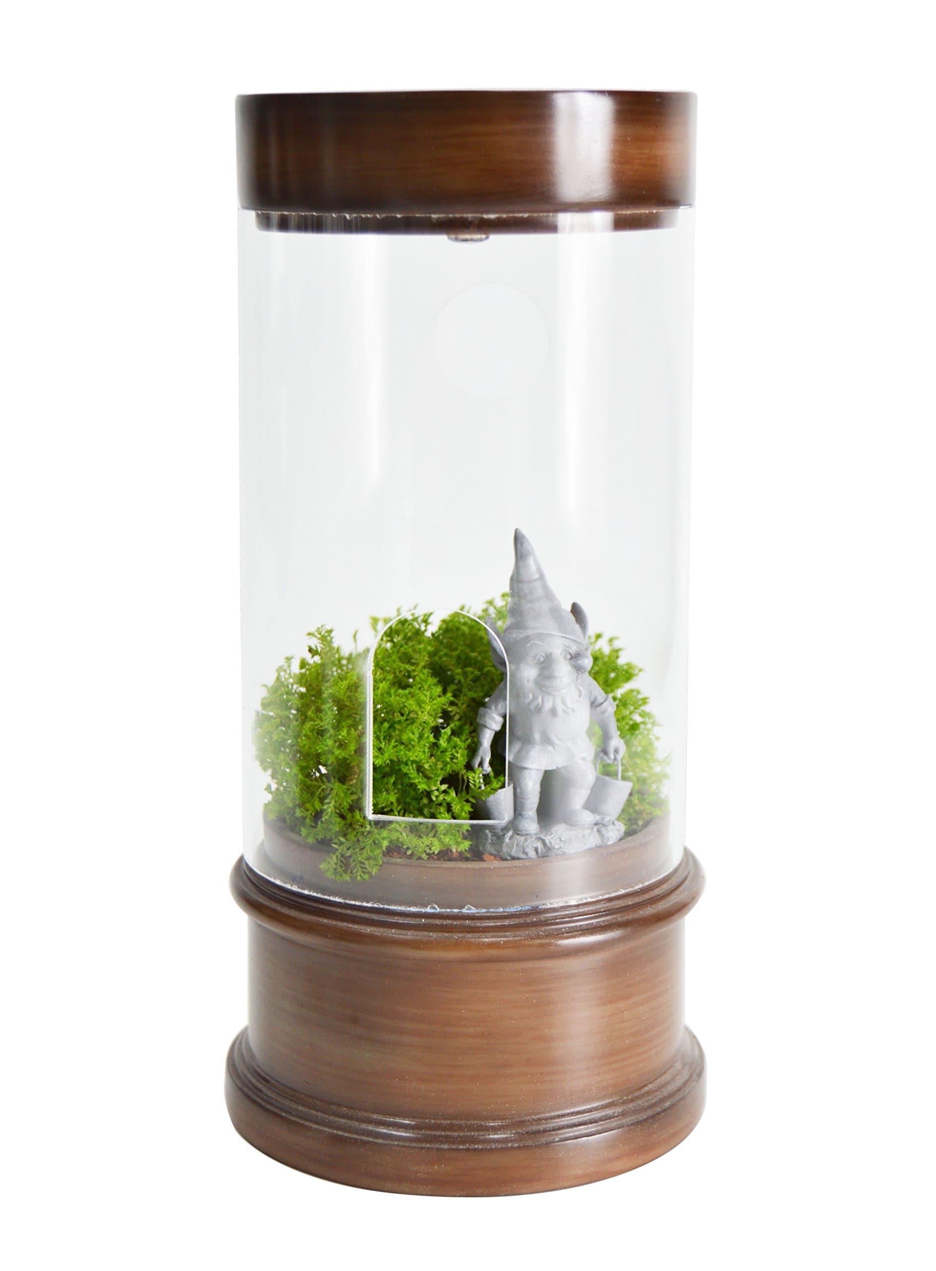 HOMESHINE Solar Succulent Plan Flower Pots Decorative for Indoor Outdoor