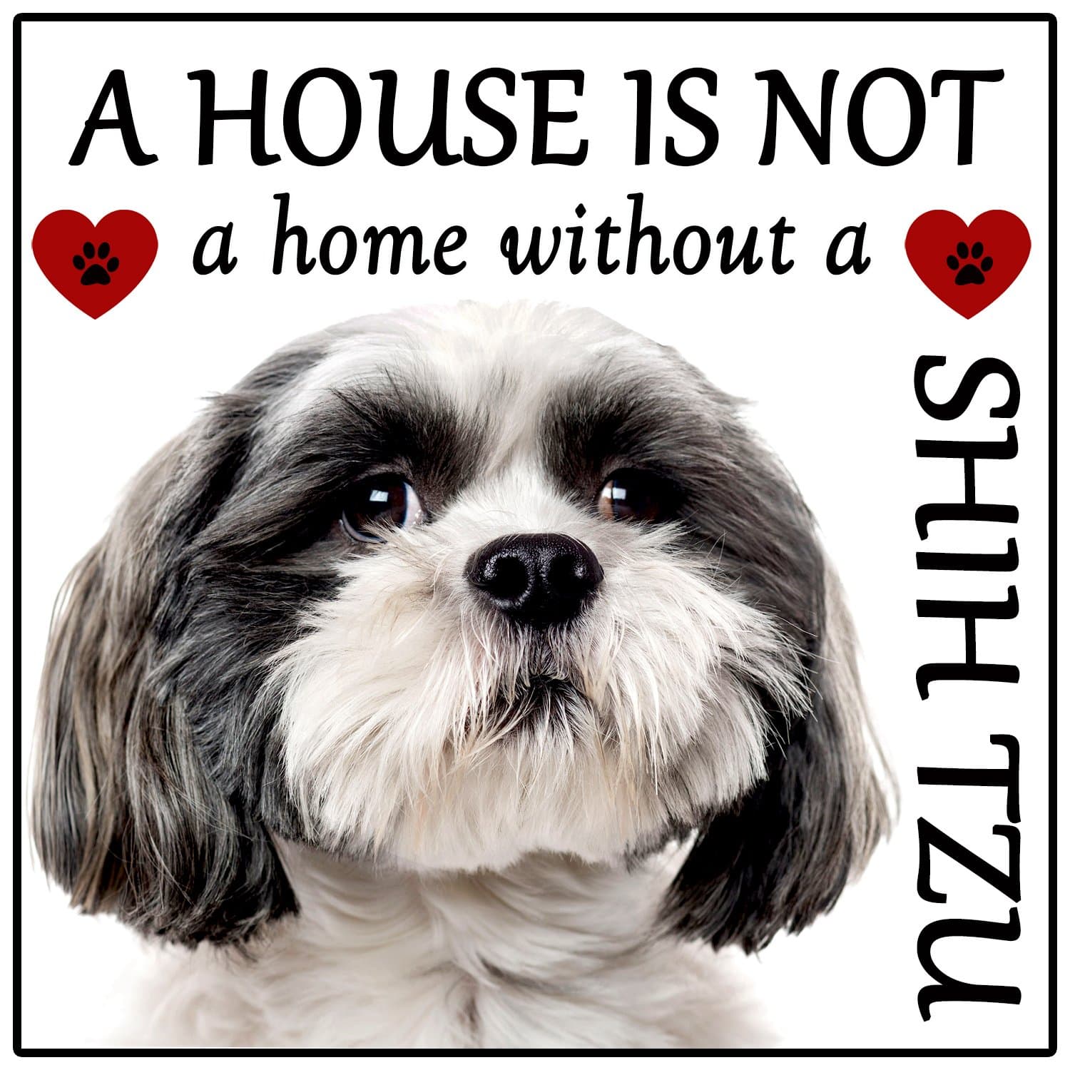 Shih Tzu Dog Gift"House is not a Home" Fridge Magnet, size 5" x 5".
