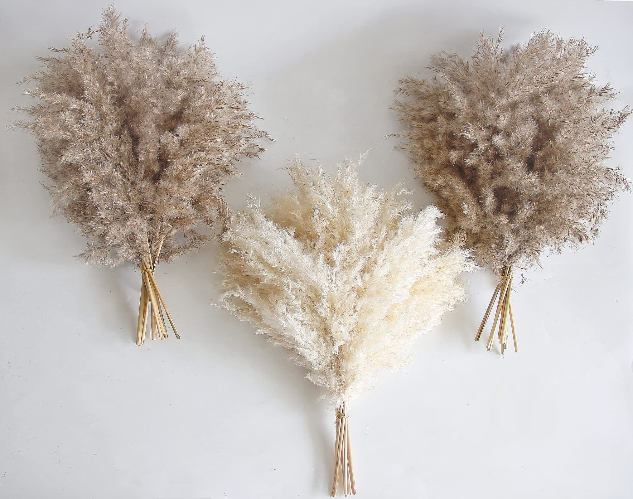 Kocat 30 Pcs Boho Decor, Fluffy Pompas Grass, Natural Dry Pampas Grass Small, Short Pampass Bulk For Room Coffee Table Decor (17 Inch )