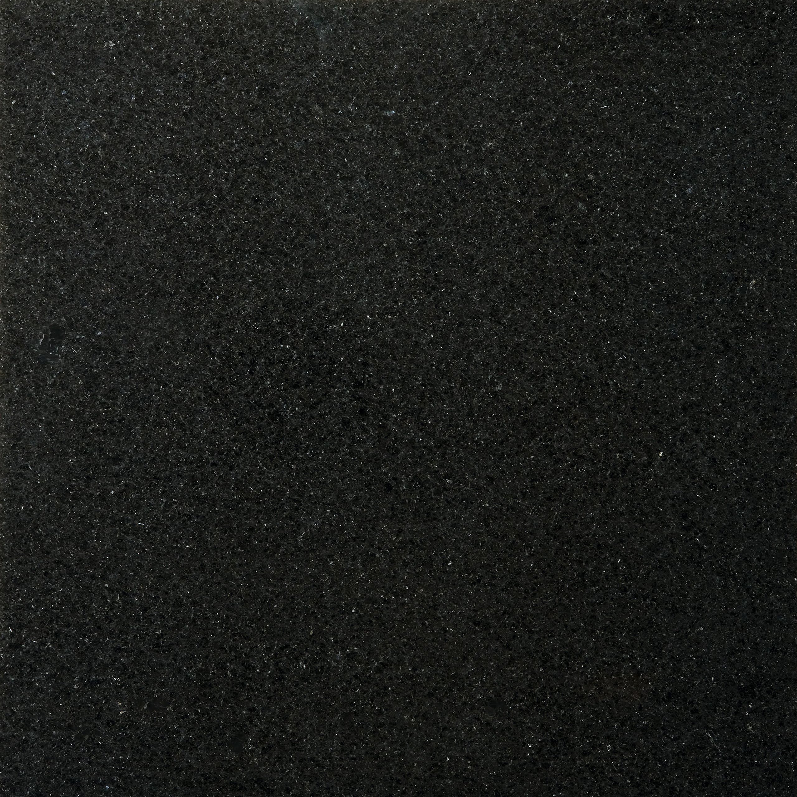 Emser Tile G05GR10BK1212ABS GR10 Absolute BK (Prem) - Granite Tile, 12 x 12"